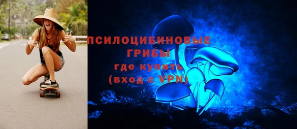 прущая мука Богородицк