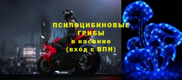 шишки Богданович