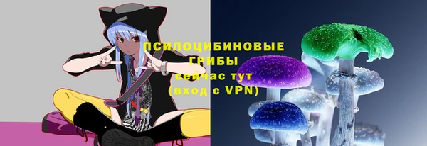 прущая мука Богородицк