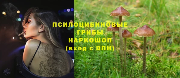 скорость Богородск